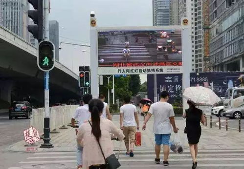 法院公布“行人相撞获赔7万”真相