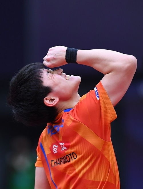 张本智和4-1林仲勋 晋级64强