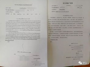 这是一张3000年前商朝王子的请假条