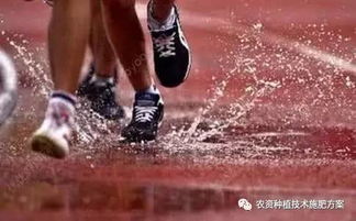 破纪录高温来了