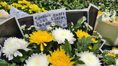 袁隆平夫人在亲友搀扶下到墓园祭扫