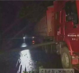 兰州大风：自行车起飞 大树拦腰刮断