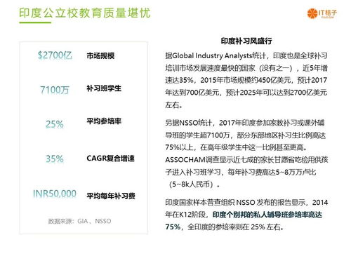 AI独角兽崩塌 全是印度程序员冒充