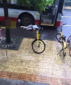 穿高跟鞋跑步摔残被判自担八成责任