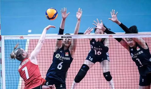 中国女排3-0完胜比利时