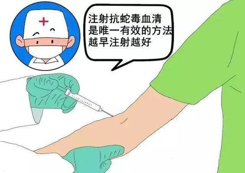 专家提醒被蛇咬后这九大土方法危险