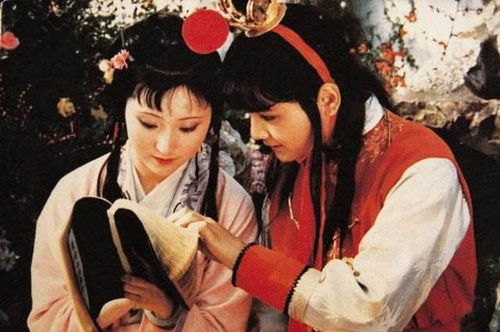 今年北京高考考《红楼梦》了